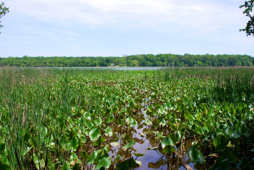 Lyn and Michael's Photos - 2012