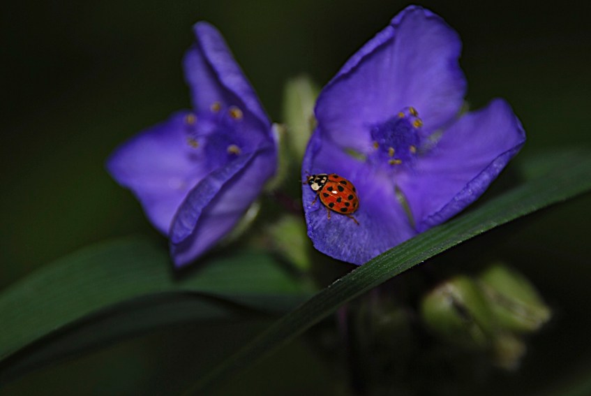 Lyn and Michael's Photos - 2012