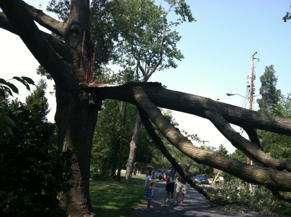 Storm Damage