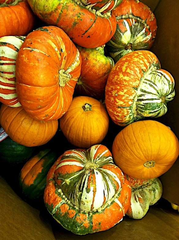 They come in all sizes and colors