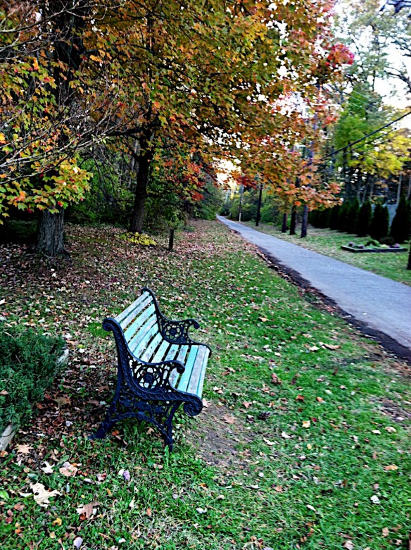 A quiet place to relax