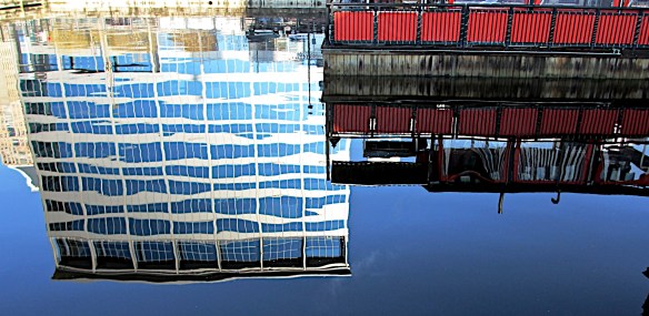 Lin and Michael's Photos 2012