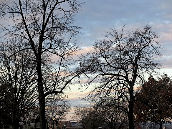 Lin and Michael's Photos 2012