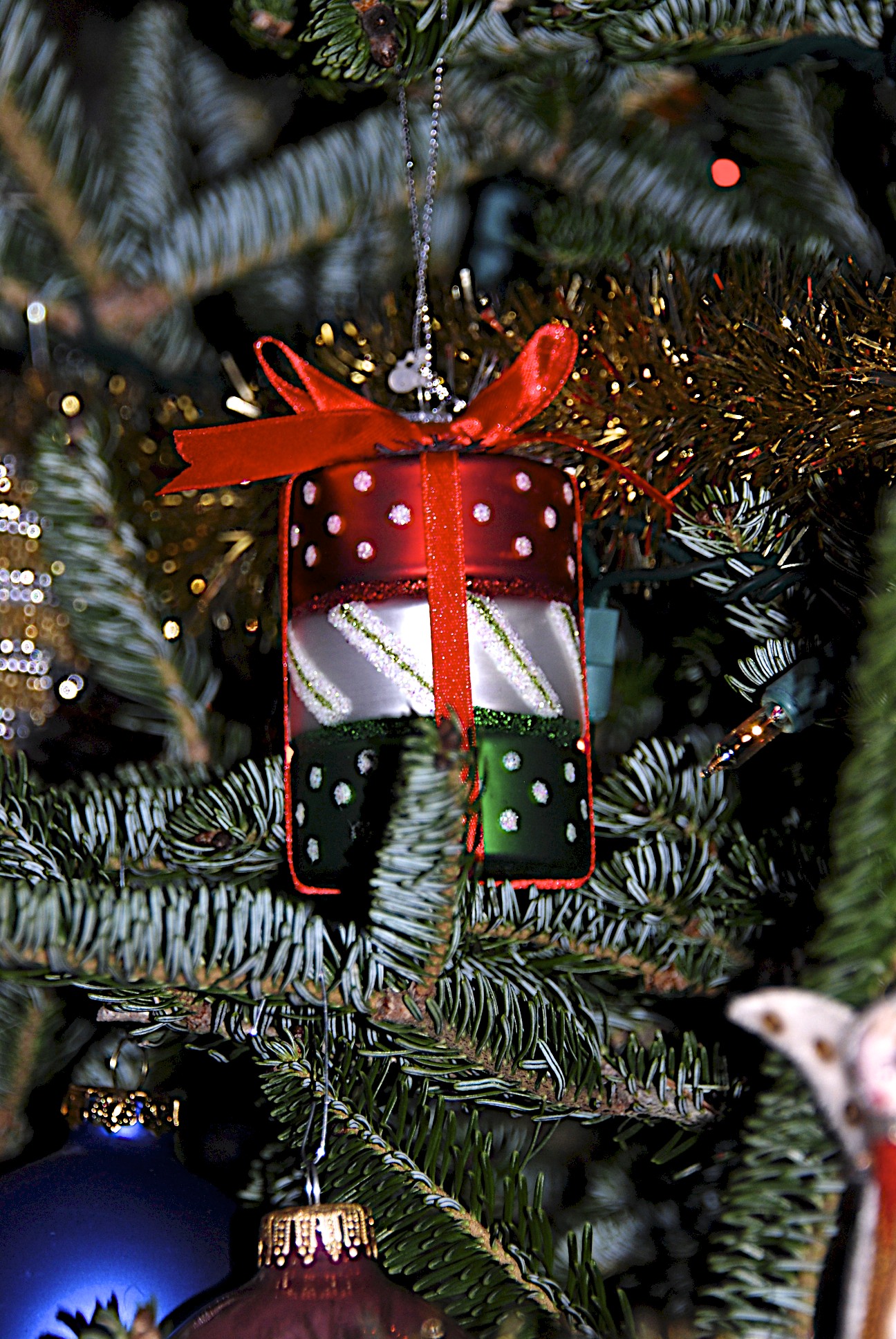 Lin and Michael's Photos 2012