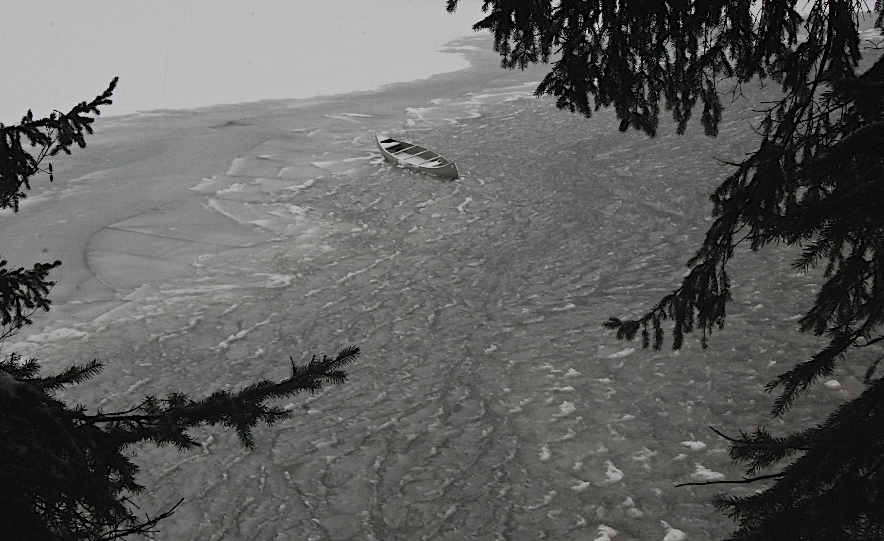 Lin and Michael's Photos 2012