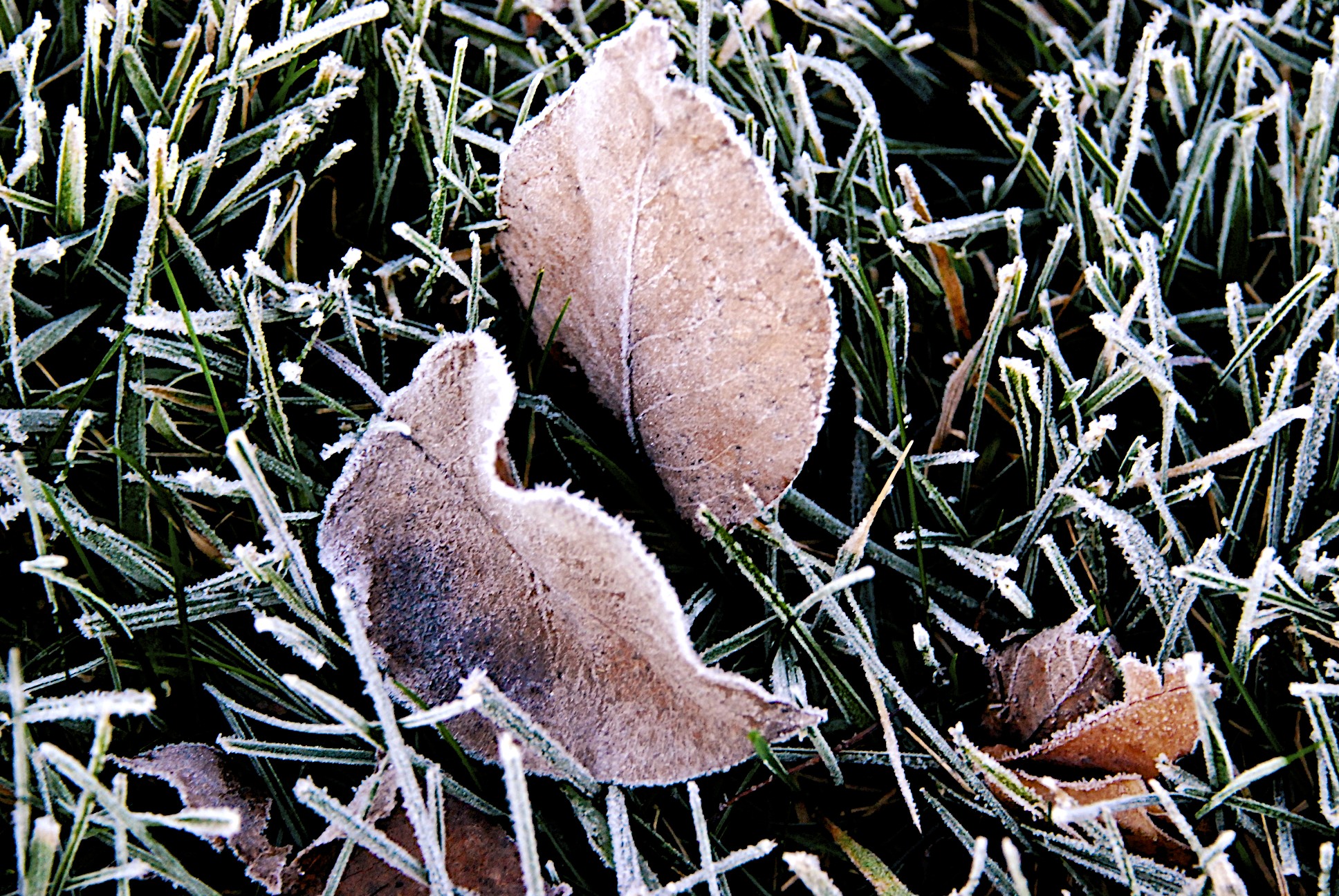 Lin and Michael's Photos 2012