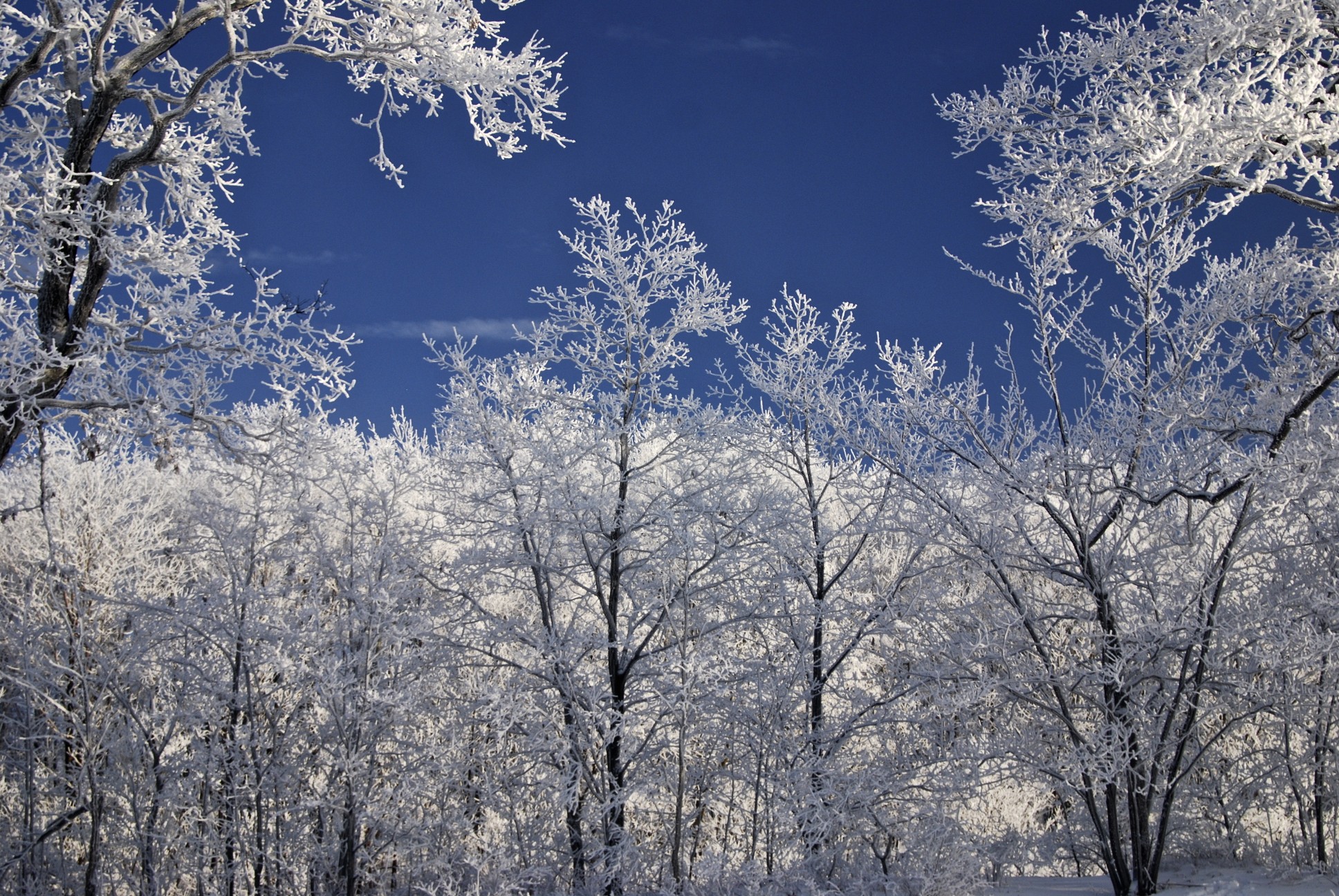 Lin and Michael's Photos