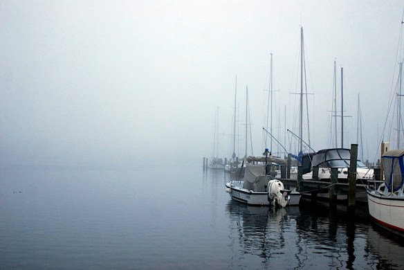 Foggy morning on the Magothy