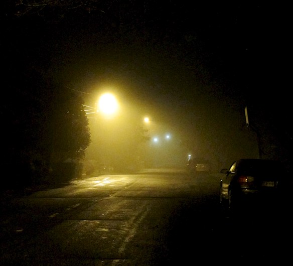 Lin and Michael's Photos 2012