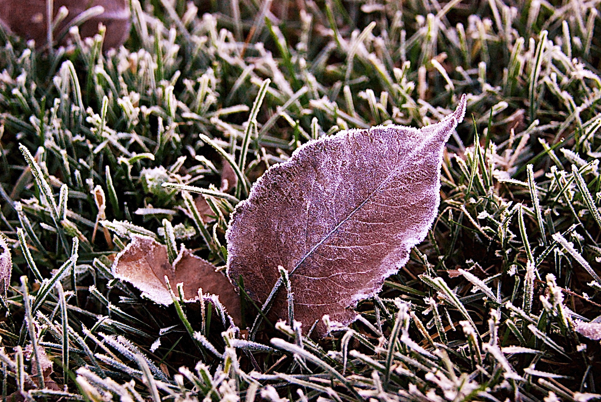 Lin and Michael's Photos 2012