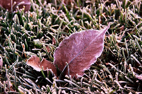 Lin and Michael's Photos 2012