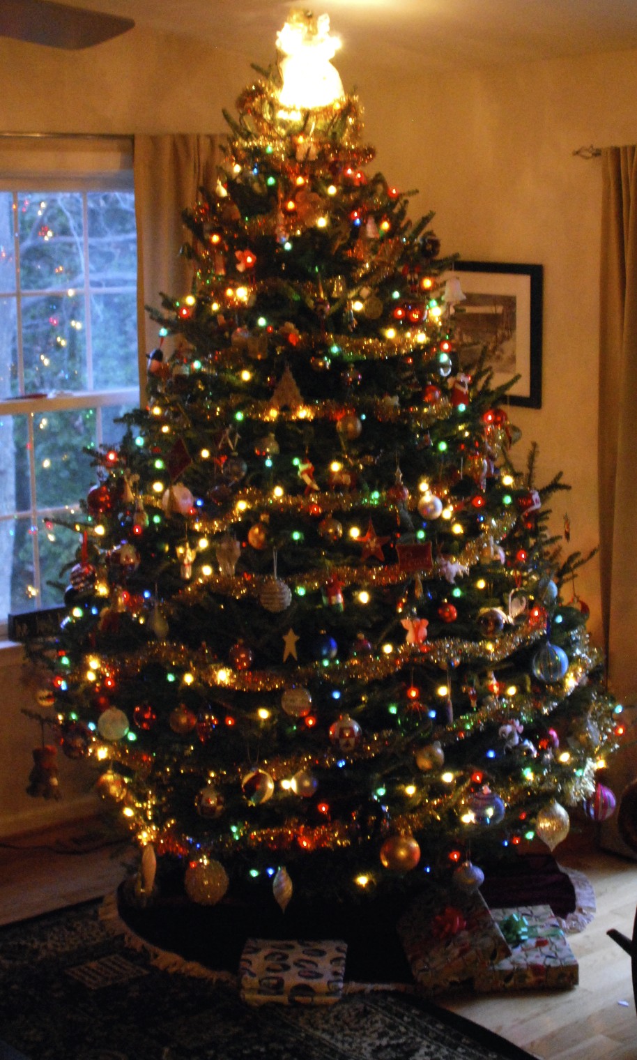 Lin and Michael's Photos 2012