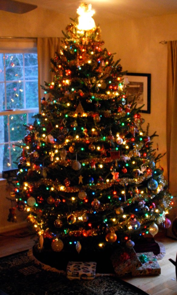 Lin and Michael's Photos 2012