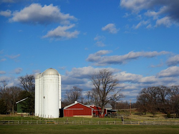 Lin and Michael's Photos 2012