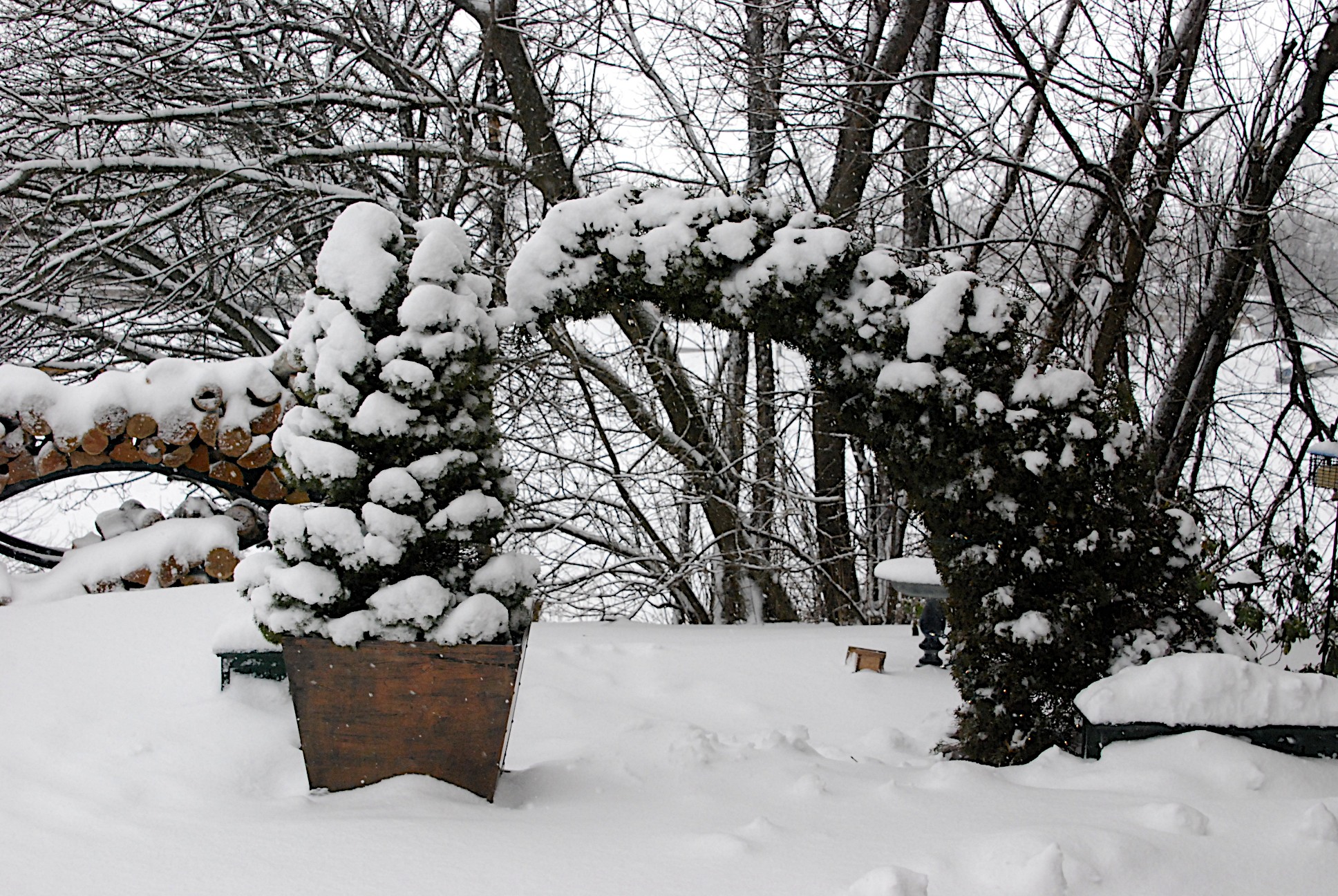 Lin and Michael's Photos 2012