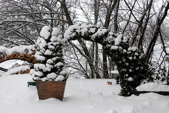 Lin and Michael's Photos 2012