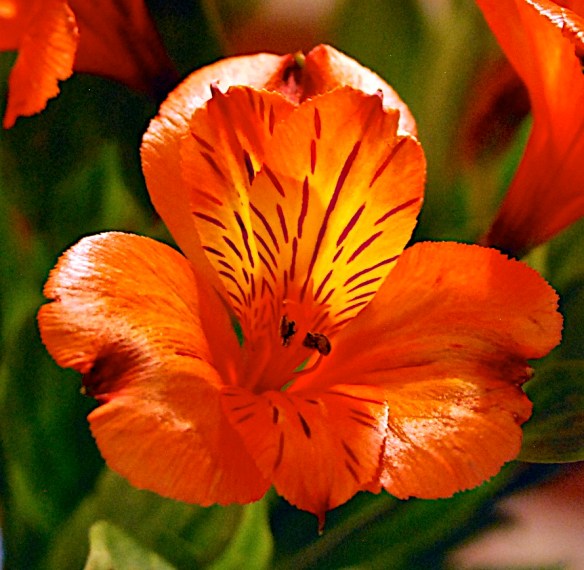 Lin and Michael's Photos 2012