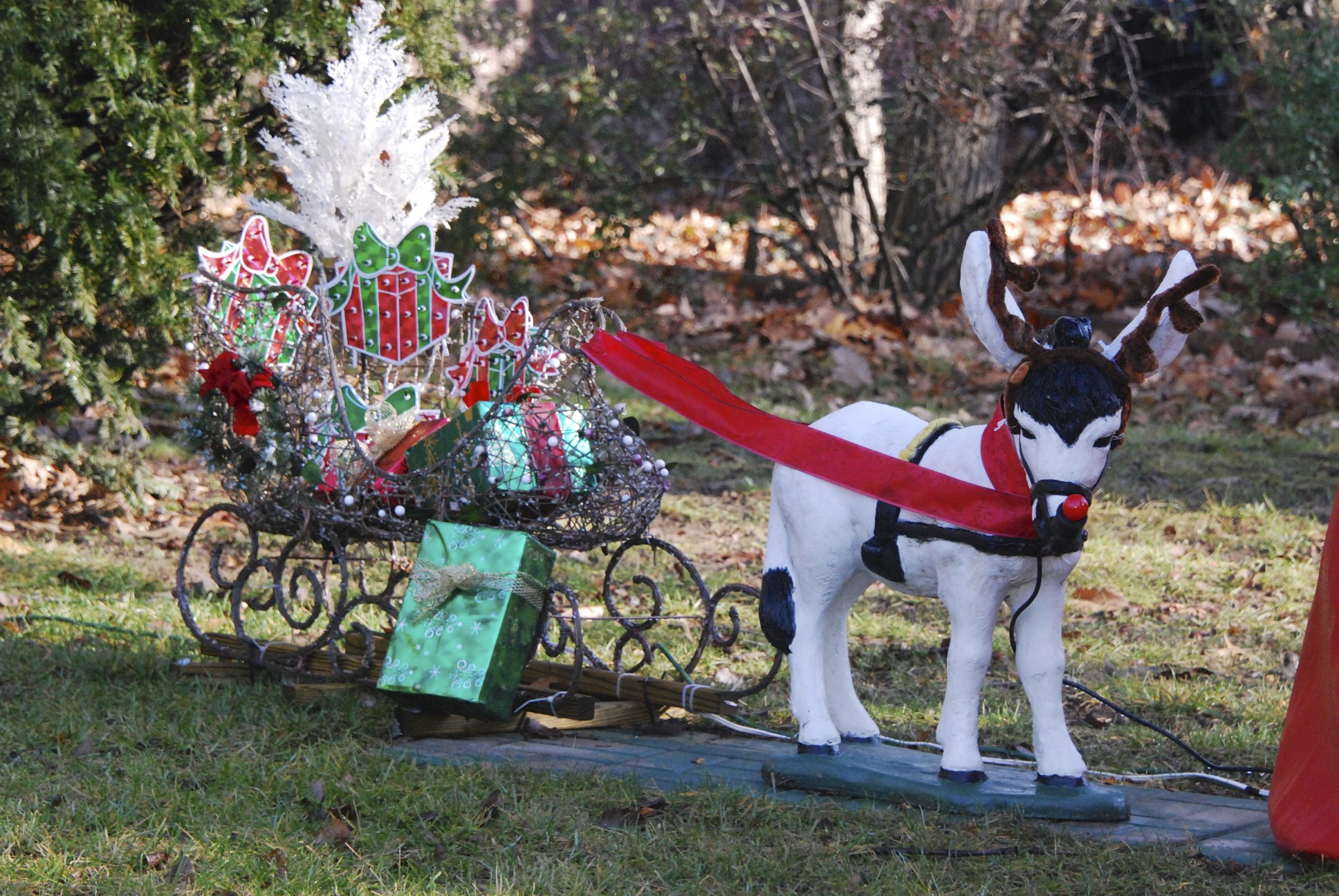 Lin and Michael's Photos 2012