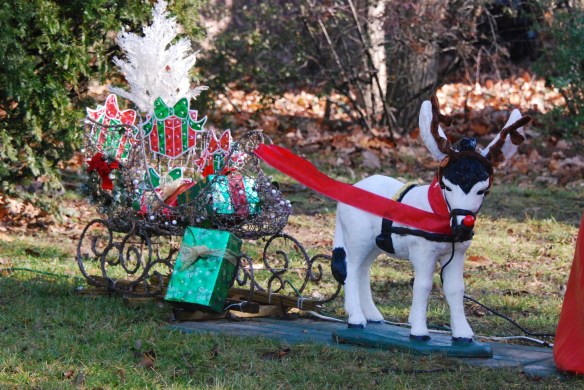 Lin and Michael's Photos 2012