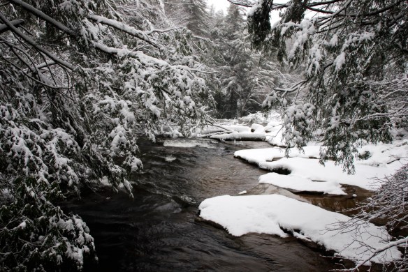 Lin and Michael's Photos 2012