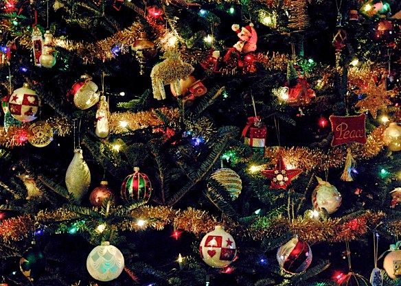 Lin and Michael's Photos 2012