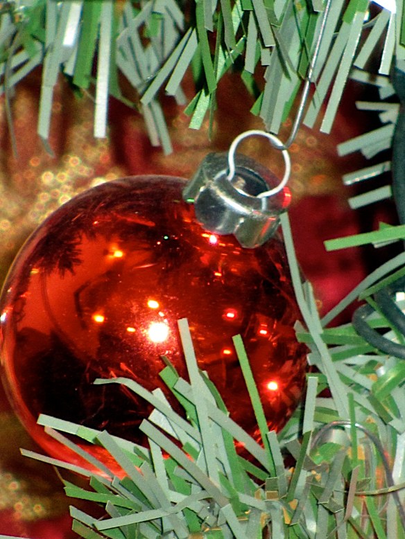 Lin and Michael's Photos 2012