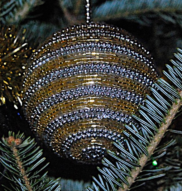 Lin and Michael's Photos 2012