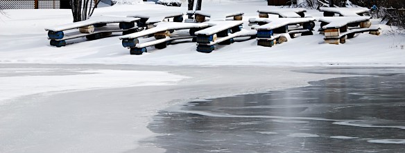 Lin and Michael's Photos 2012