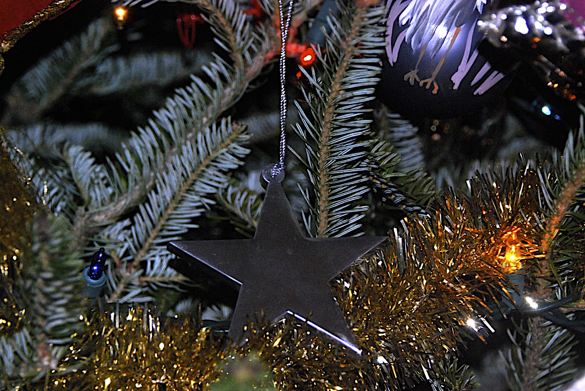 Lin and Michael's Photos 2012