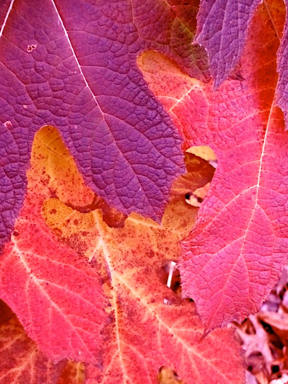 Lin and Michael's Photos 2012