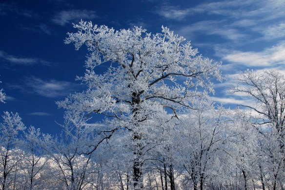 Lin and Michael's Photos 2012