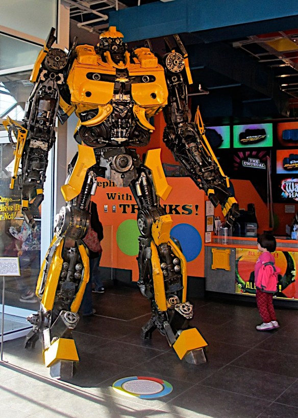 Lin and Michael's Photos 2013