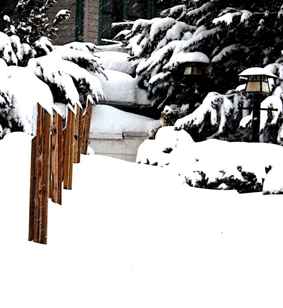 Lin and Michael's Photos 2013