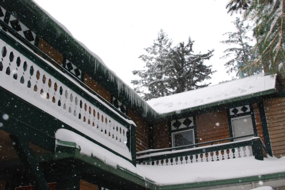 Lin and Michael's Photos 2013