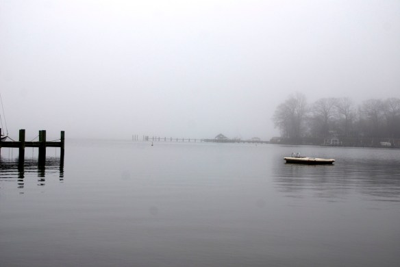 Lin and Michael's Photos 2013