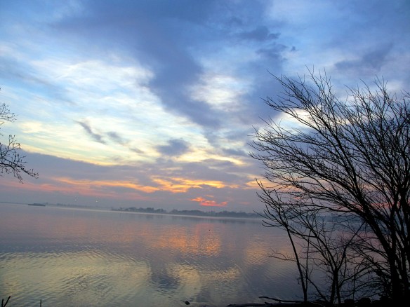 Lin and Michael's Photos