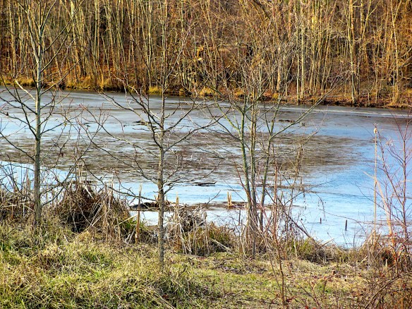 Lin and Michael's Photos