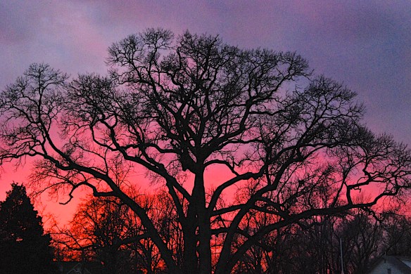 Lin and Michael's Photos 2013