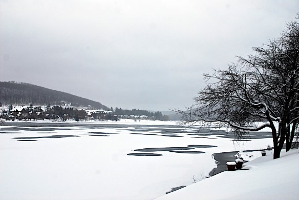 Lin and Michael's Photos 2012