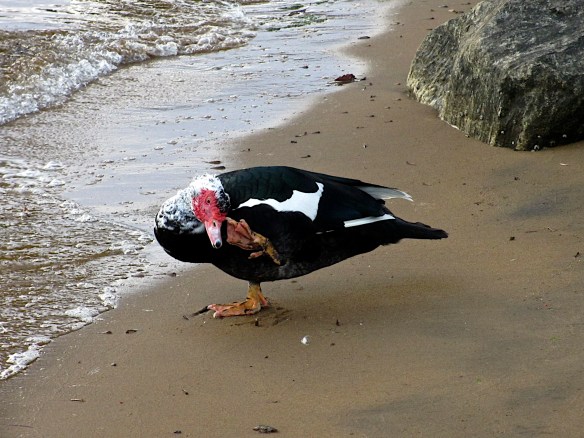 Lin and Michael's Photos 2013