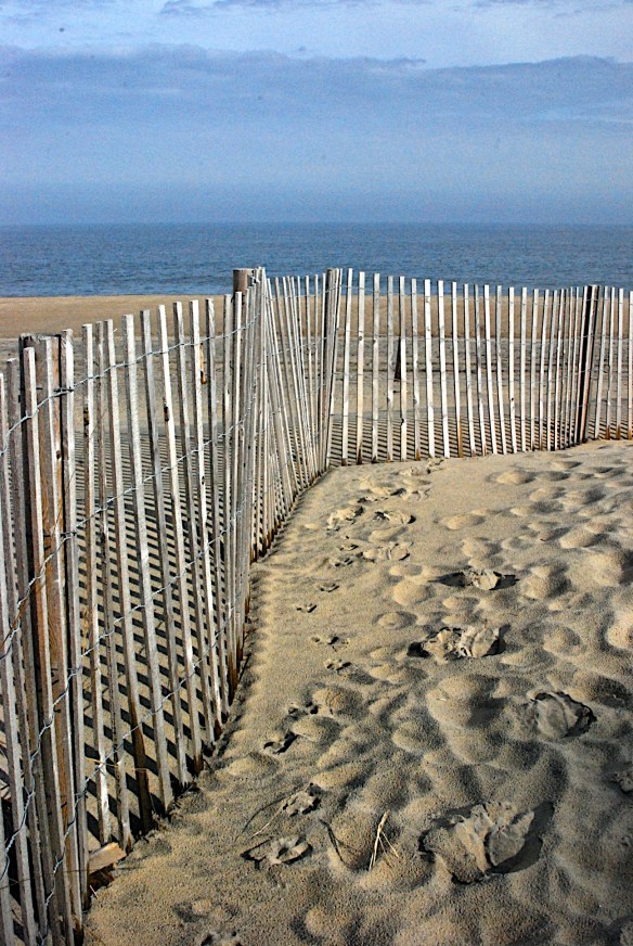 Lin and Michael's Photos 2013