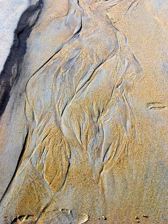 Lin and Michael's Photos 2013