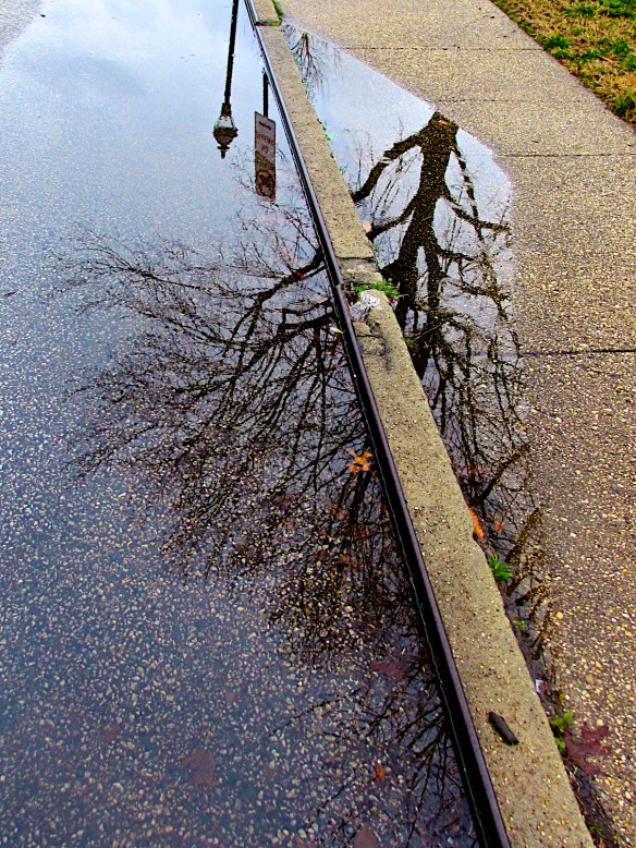 Lin and Michael's Photos 2013