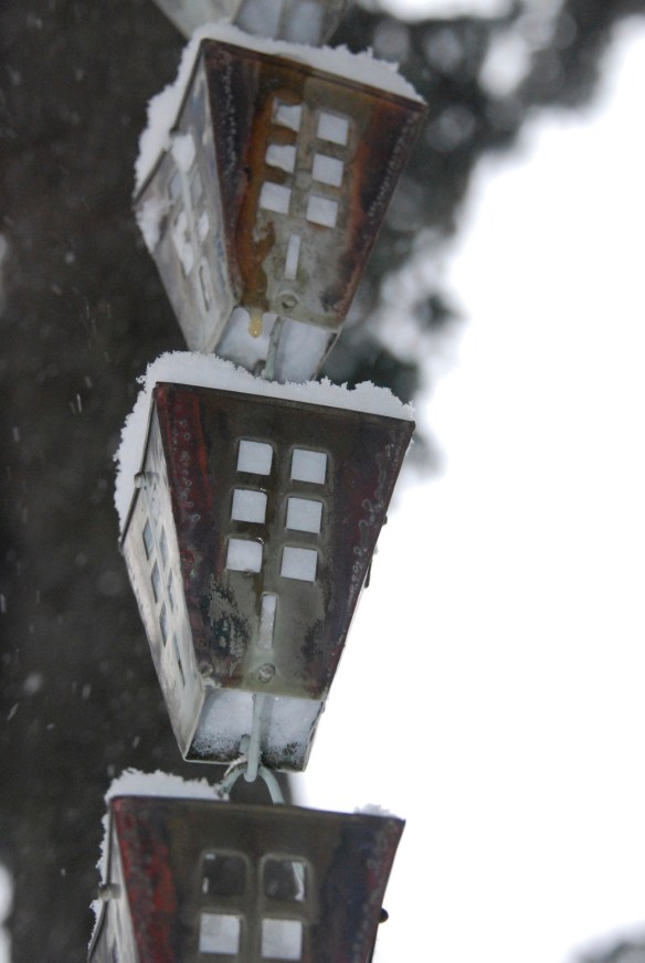 Lin and Michael's Photos 2013