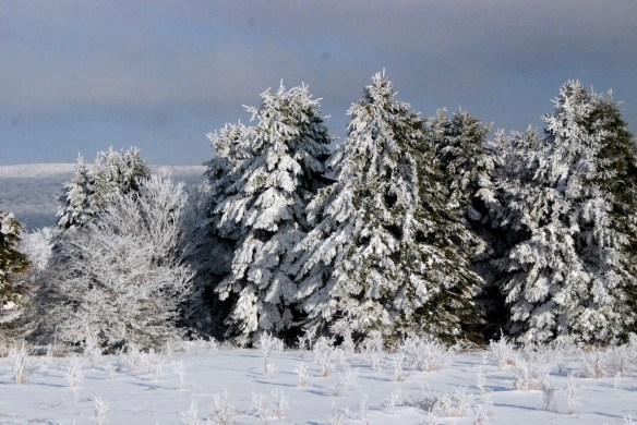 Lin and Michael's Photos 2013