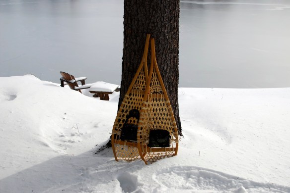 Lin and Michael's Photos 2013