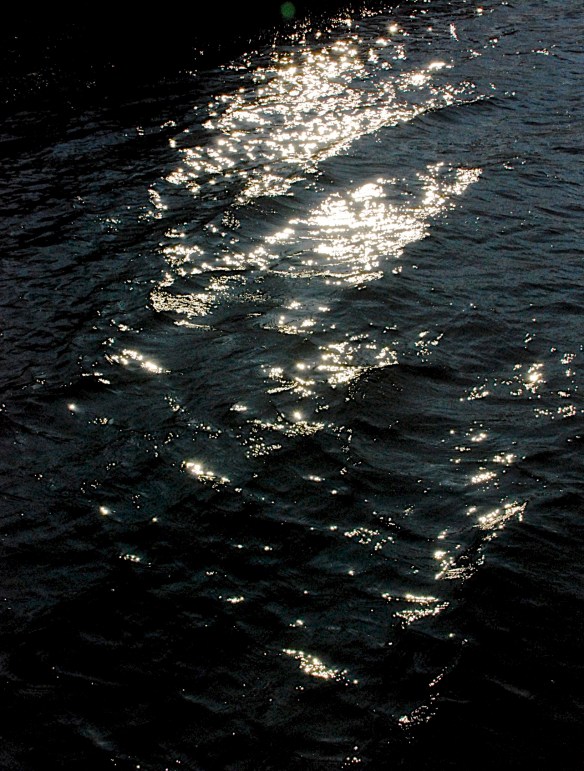 Lin and michael's Photos