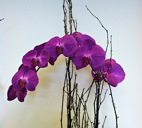 Lin and Michael's Photos