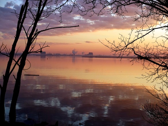 Lin and Michael's Photos