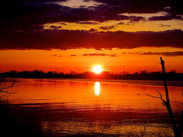 Lin and Michael's Photos